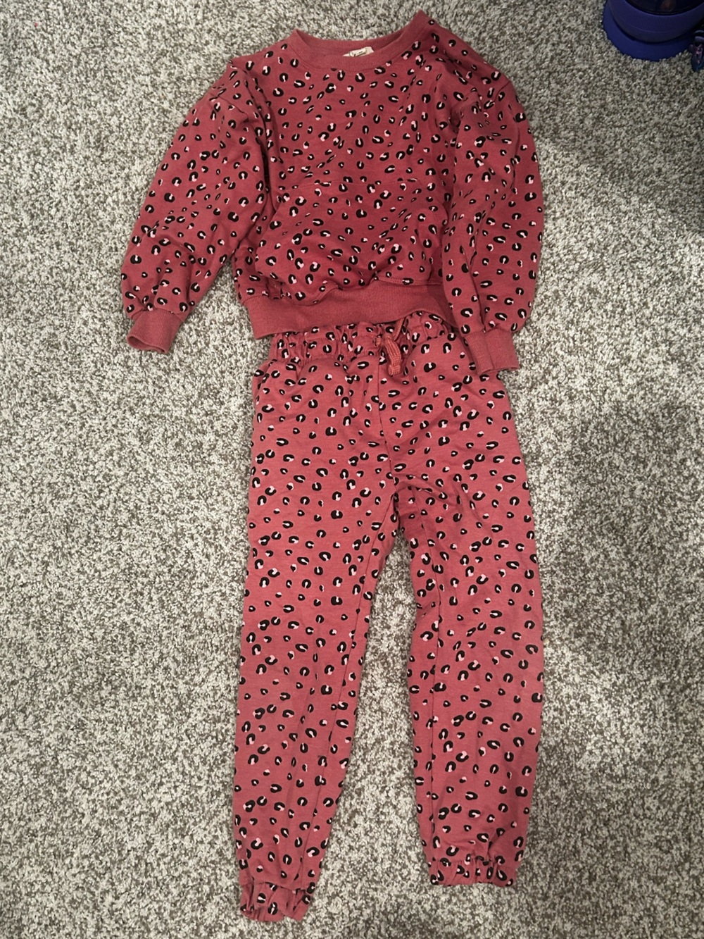Jessica Simpson Rose Pink Leopard-Print Kids Set